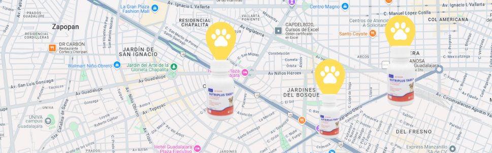 Encuentra tu clínica veterinaria más cercana